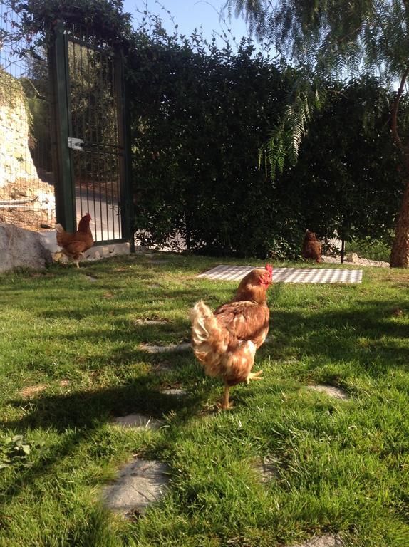 Agriturismo Da Lui Bordighera Luaran gambar