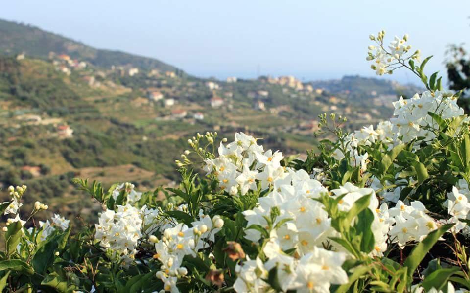 Agriturismo Da Lui Bordighera Luaran gambar